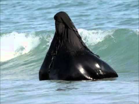 Uma das vantagens dessas peças próprias para o banho é evitar que isso aconteça.
