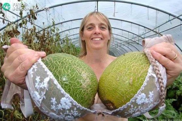 Massive melons