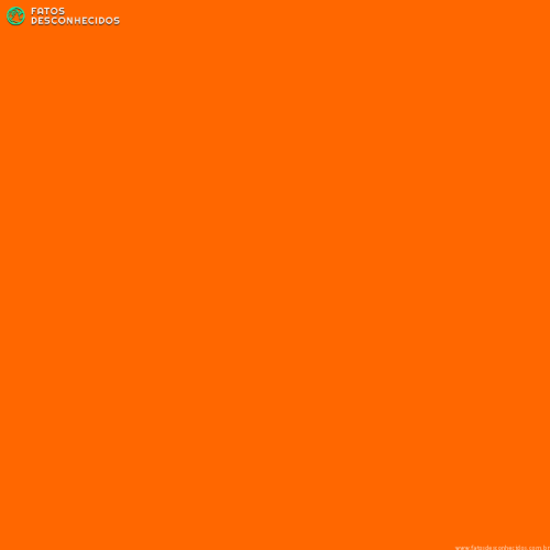Safety_Orange_Blaze_Orange_429976_i0