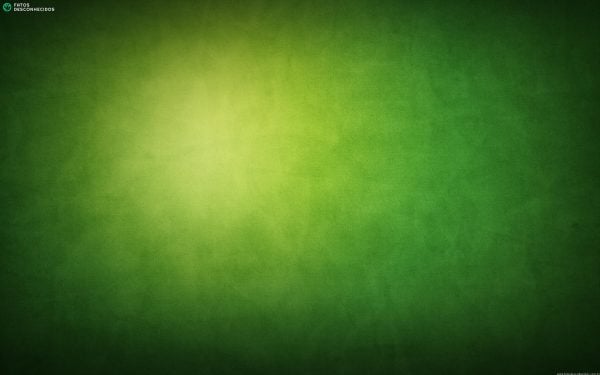 green-wallpaper-17329-17885-hd-wallpapers