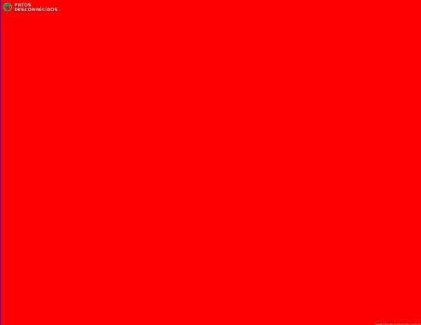 red-01
