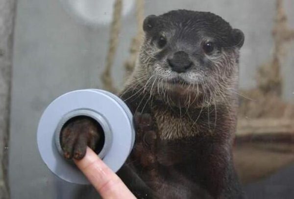 2515