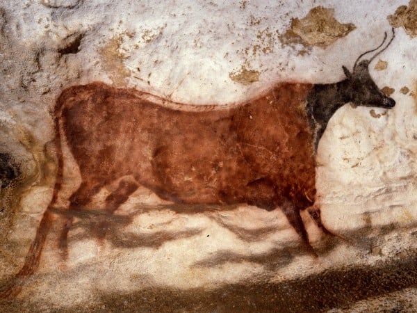 80