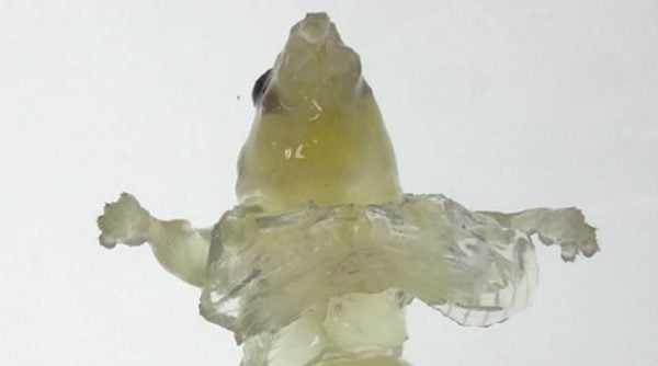 rato-transparente-noticia-seu-history-3 (1)