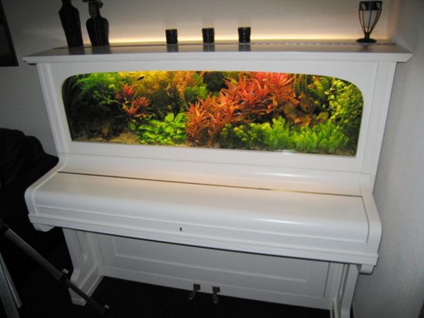 reciclagem-lixo-em-coisas-novas-14