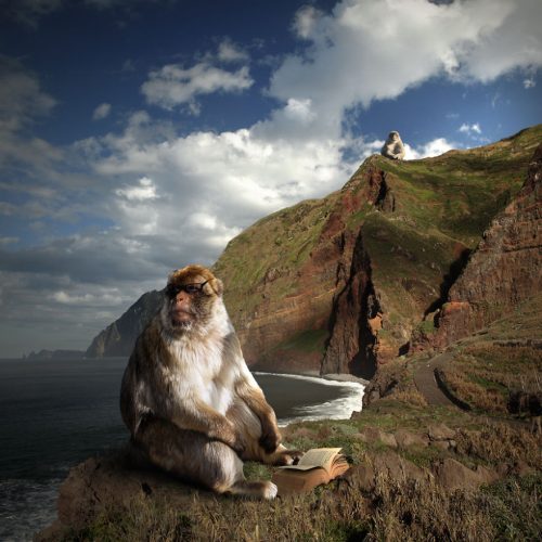 Thinker10__880