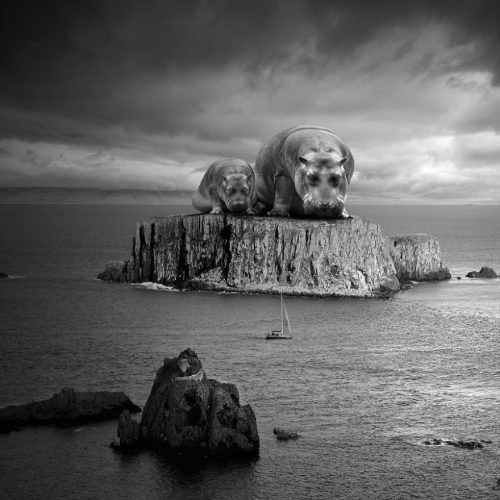 Thinker__880