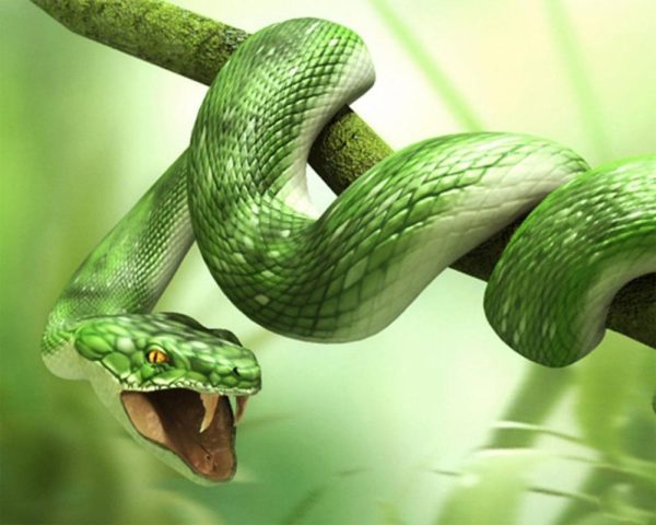serpente