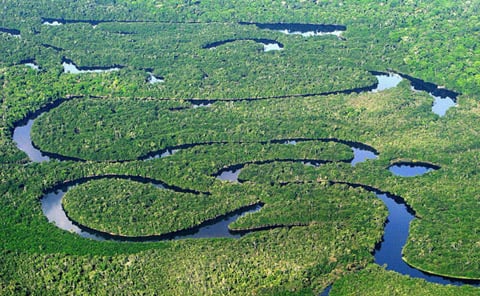 floresta-amazonica