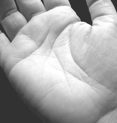 O que significa ter a letra M na palma da mão? – Fatos Desconhecidos