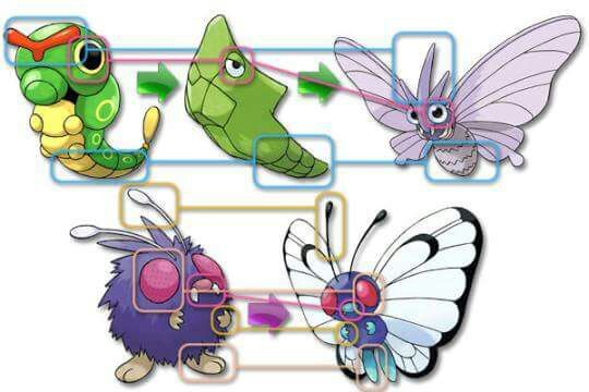 teorias sobre o mundo de pokémon 7