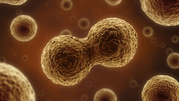 voc-dna-divisao-Henrik5000-822x463