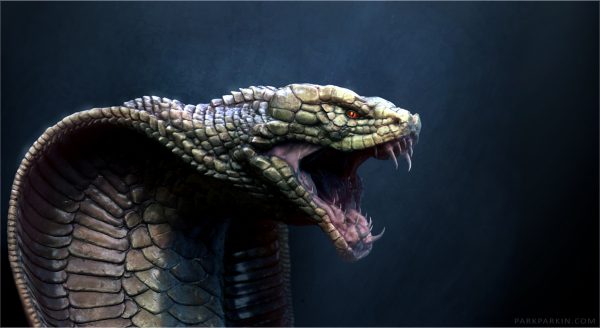 Cobra-Dragon