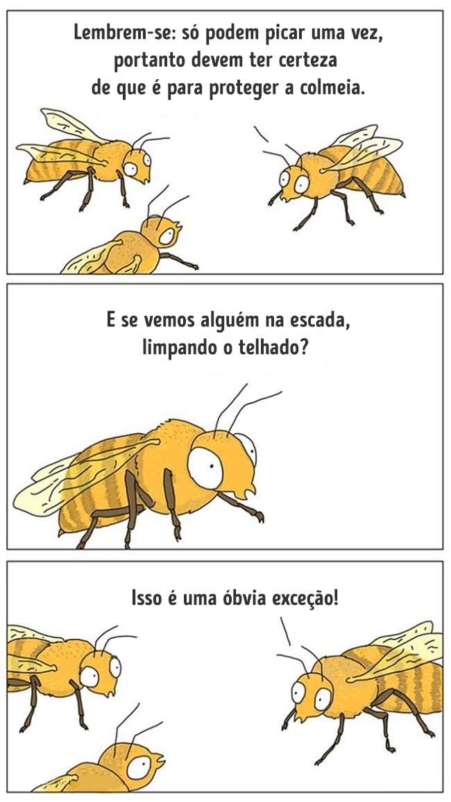 animais 02