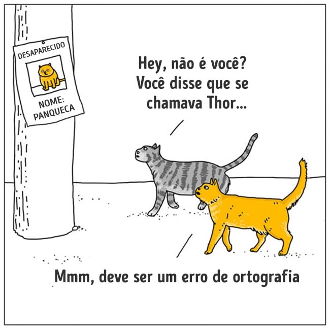 animais 03