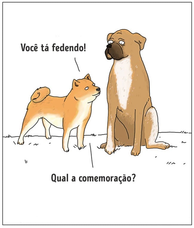 animais 04
