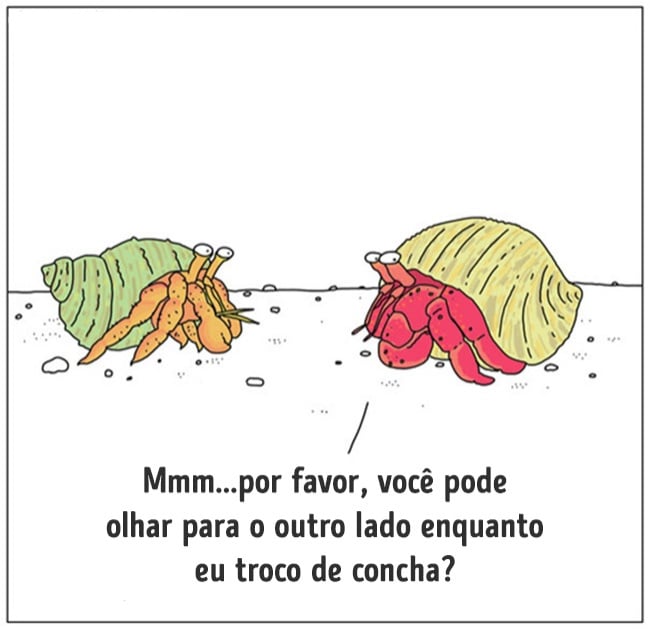 animais 06