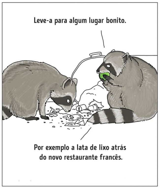 animais 07