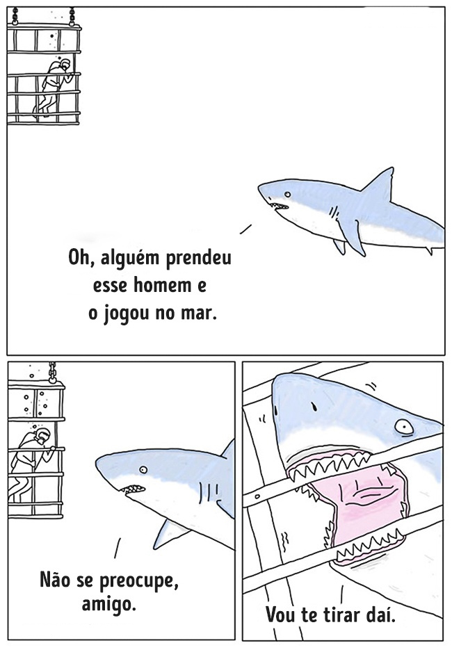 animais 08