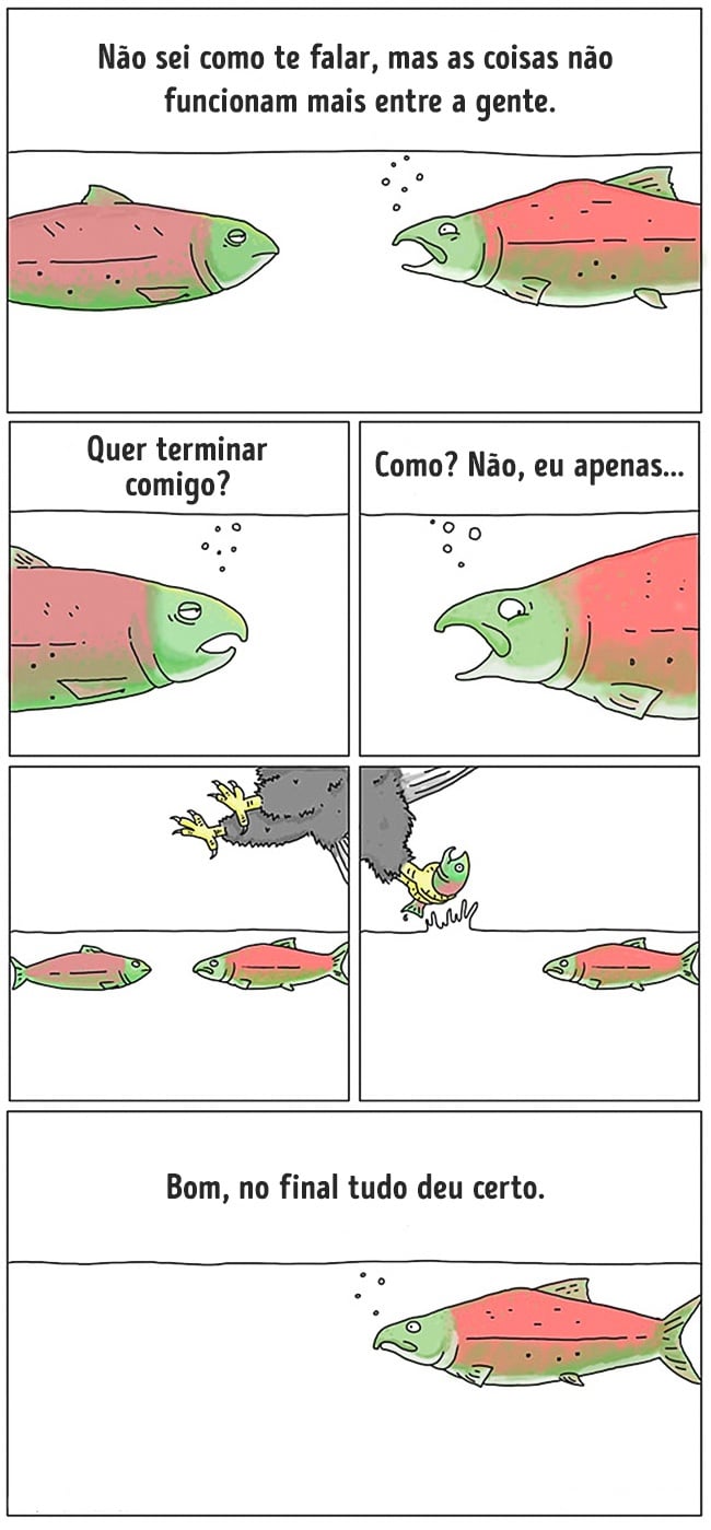 animais 09