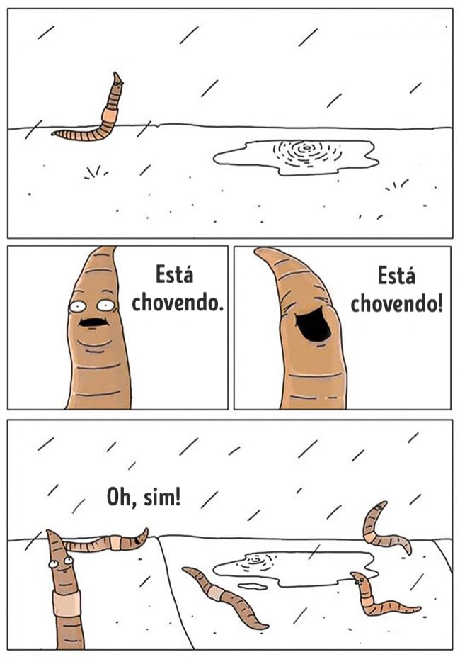 animais 11