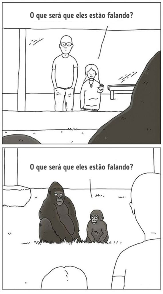 animais 12