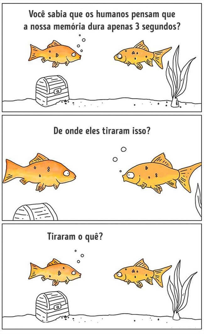animais 13