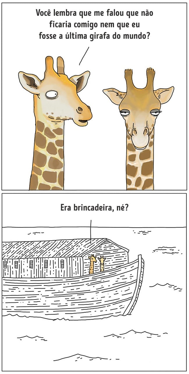 animais 14