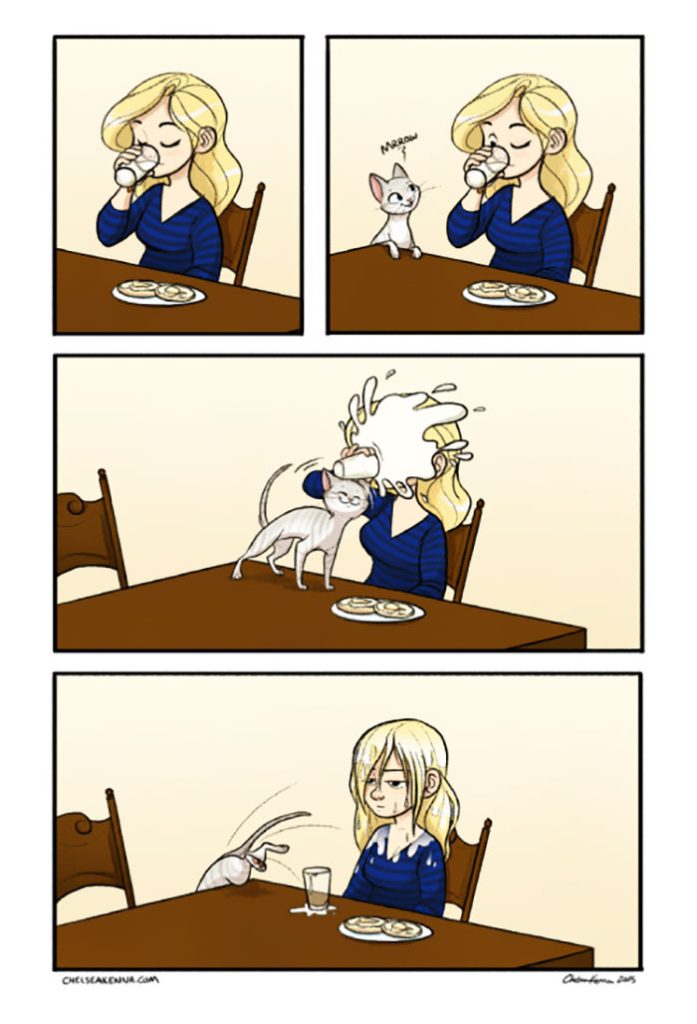 23