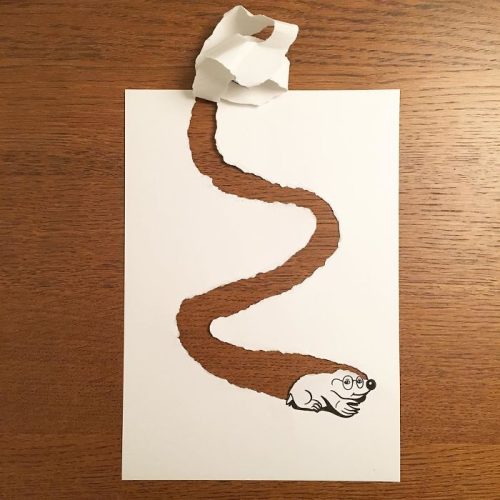 31