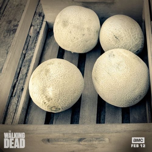 the-walking-dead-05