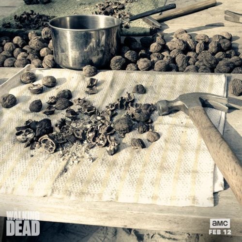 the-walking-dead-11