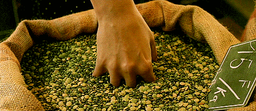 sexo