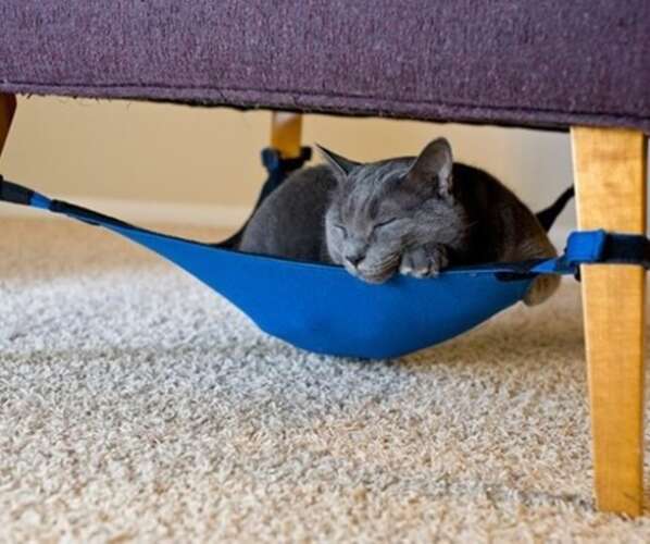 Rede para gatos