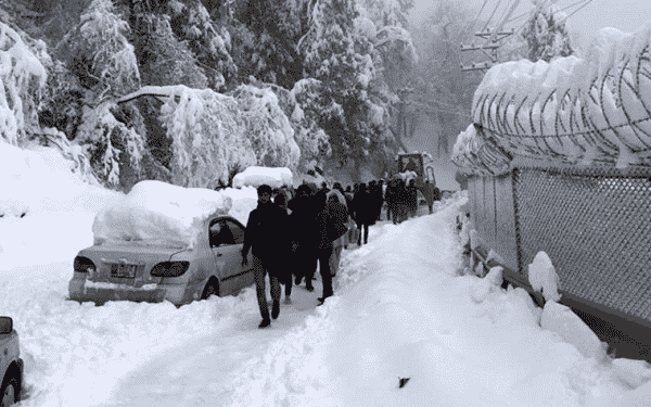 neve
