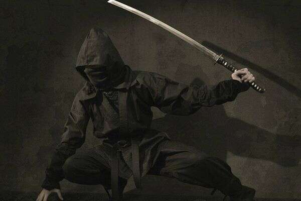 Ninja