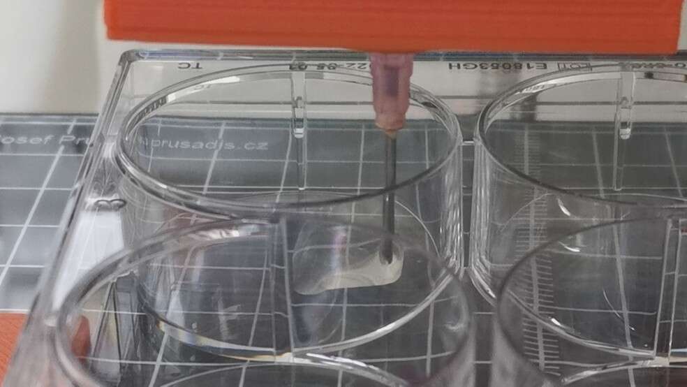 biocurativo