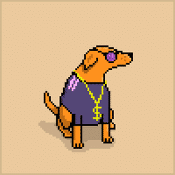 Cachorro caramelo NFT