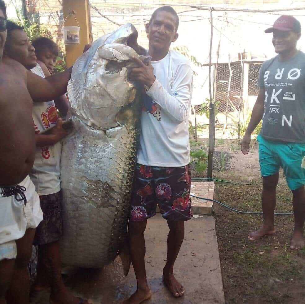 peixe