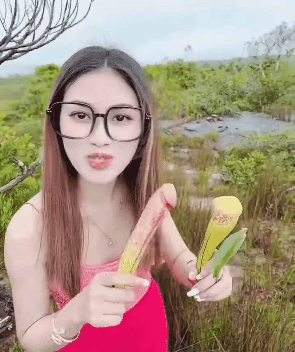 turista com planta pênis