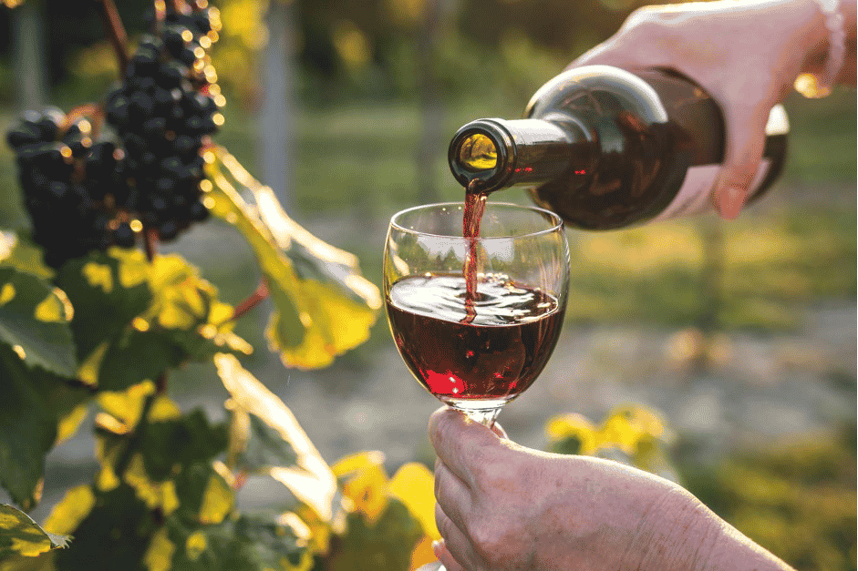vinho merlot
