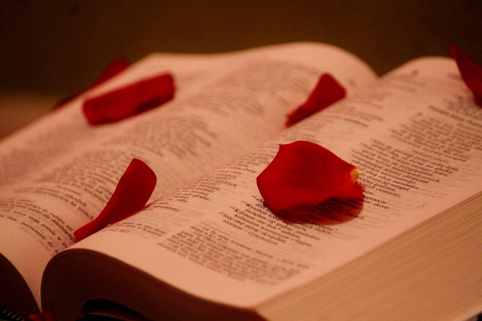 Bíblia com rosas