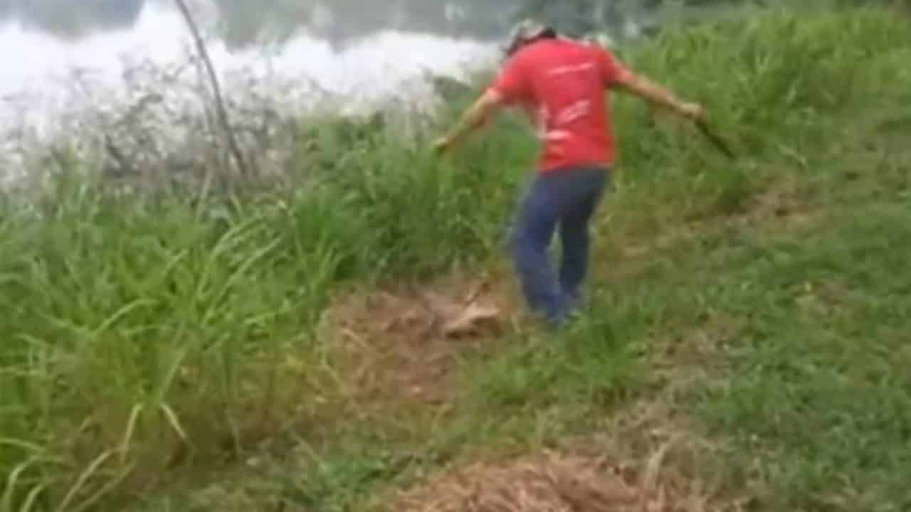 Homem atacado por crocodilo