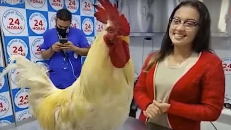 naomi sotillo e galo