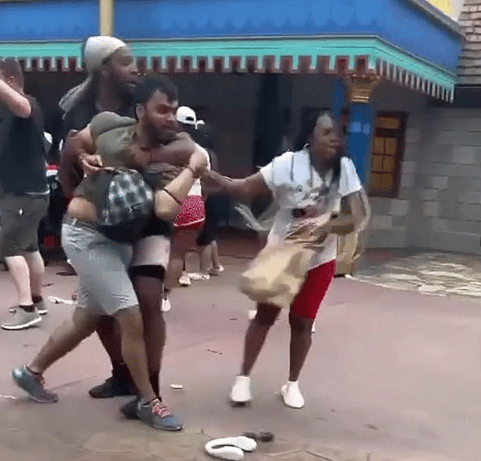 Briga na Disney