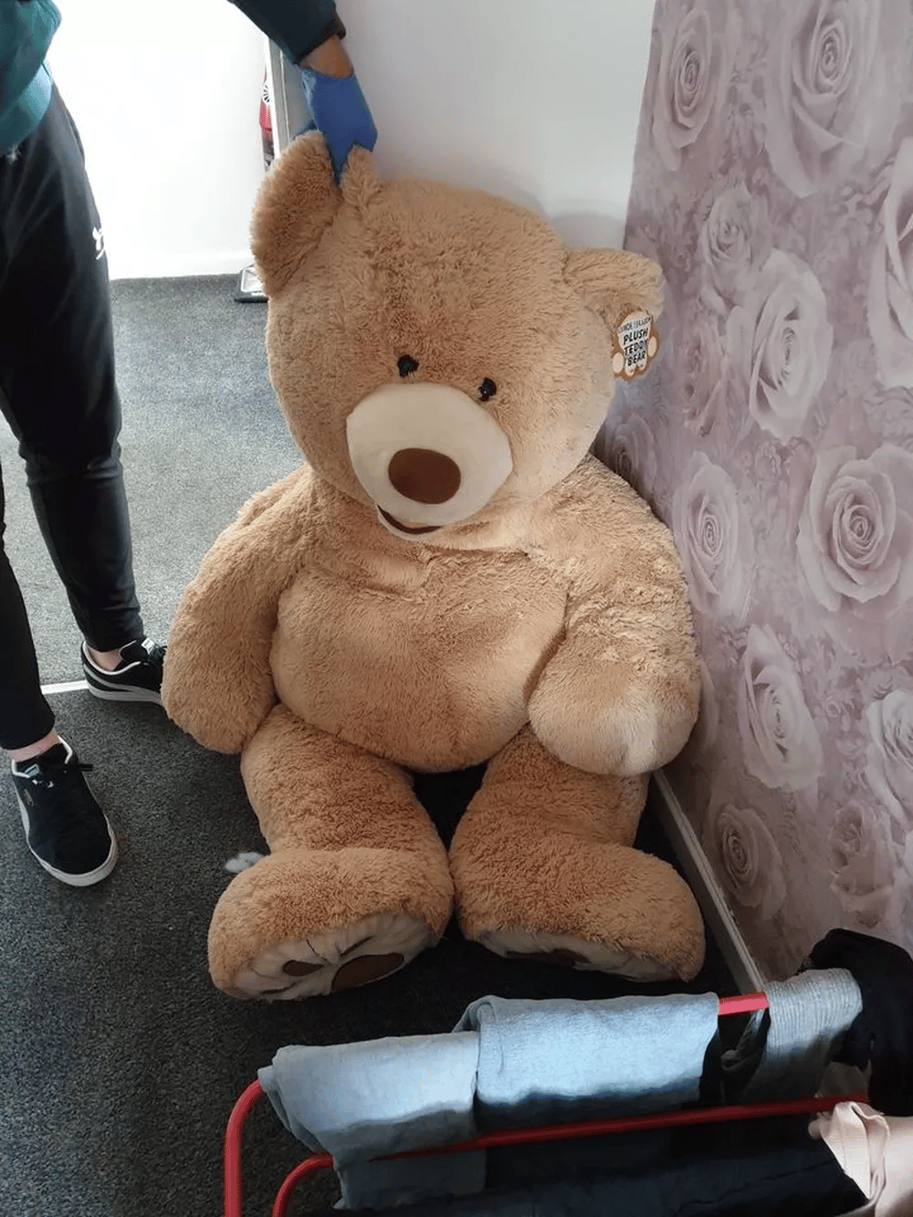 Homem que roubou carro esconde em urso de pelúcia