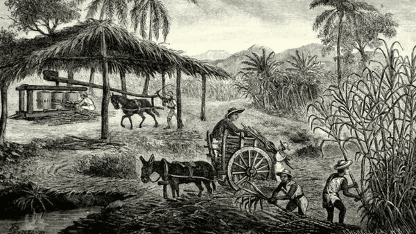 cana em cuba
