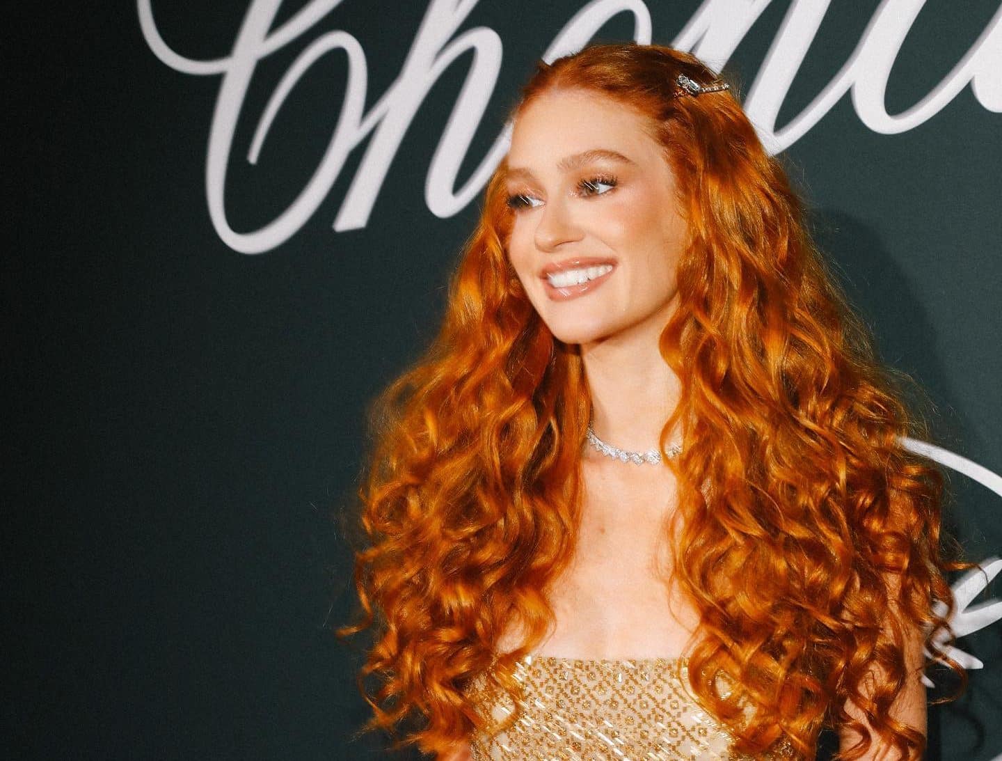 marina ruy barbosa