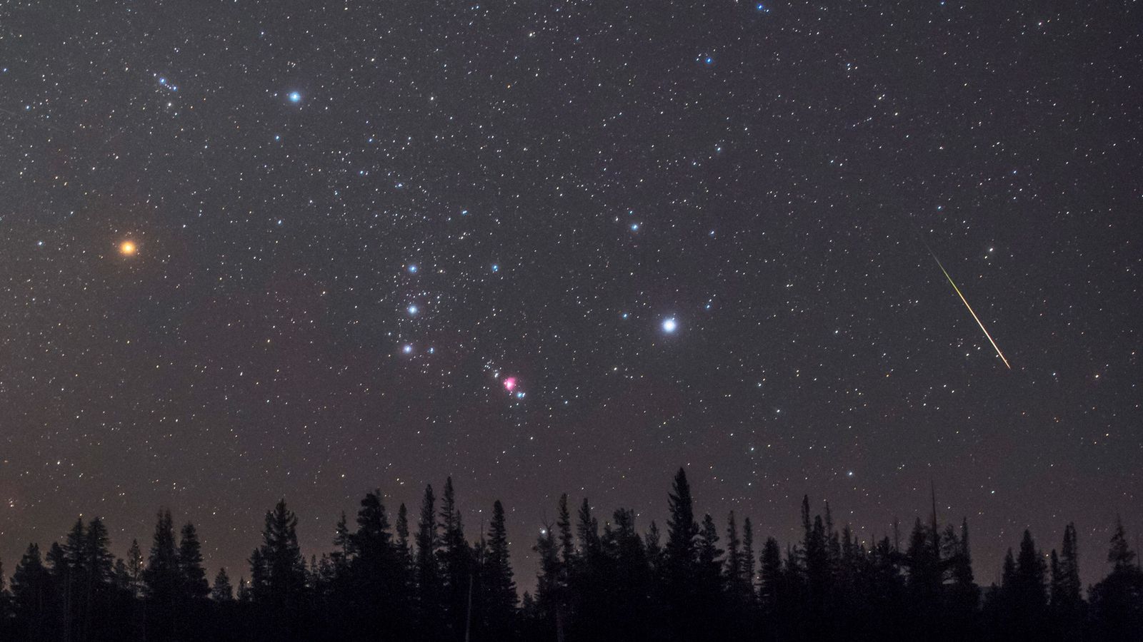 estrela