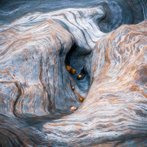 Oh! Limpet Games' do vencedor do Your View Simon Turnbull fotografias